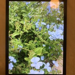 iPad Mini 