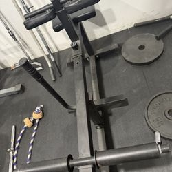 Calf Machine Free Weight 