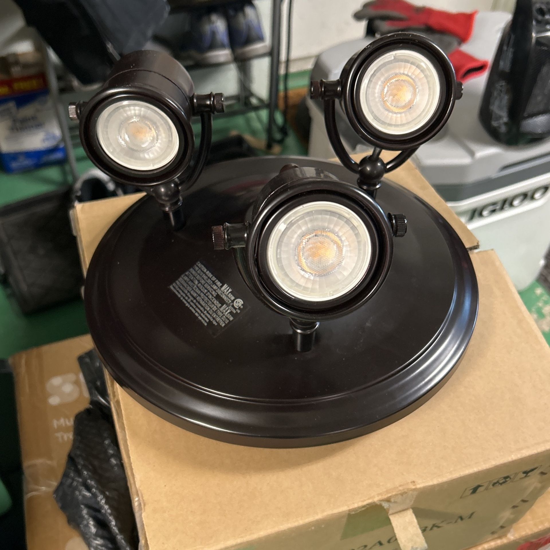 Ceiling Light Fixture 
