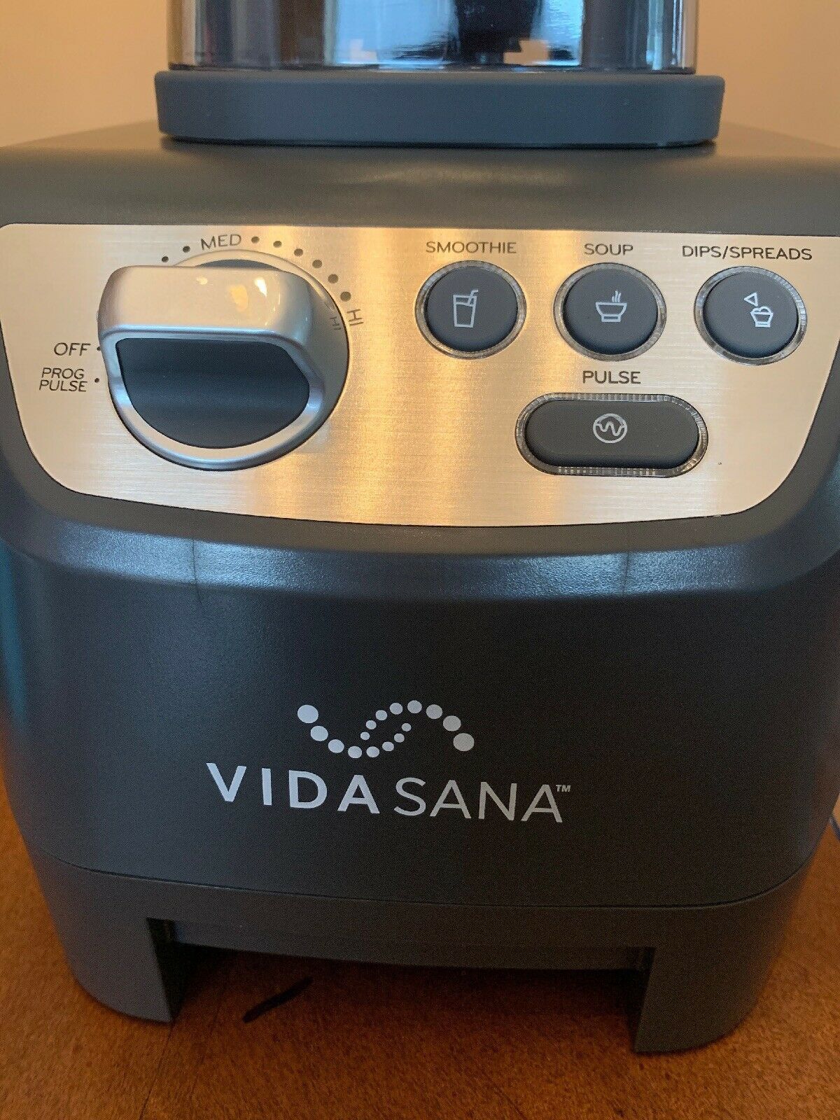 Princess House VIDA SANA Electrics High-Power Blender (4571) New!