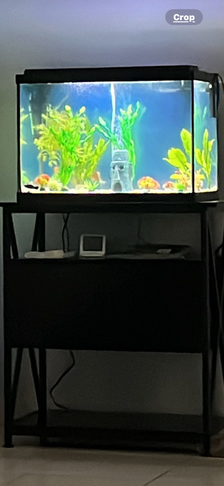 Fish Tank Table And Accessories