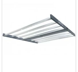 Gavita 1700e grow lights