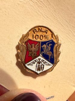 Vintage gold-tone enameled lapel pin crest shield PNA Polish National Alliance