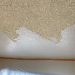  Plaster Cielings  And Walls 