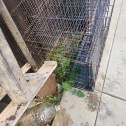 Pet Cage Not For Bird More Like Small Pup