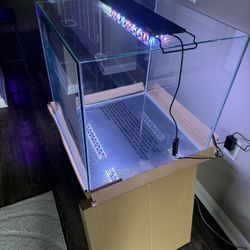 Brand New Imagitarium 35Gal w/ glass lid and Hygger Full Spectrum LED light