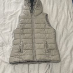 Grey Puffer 