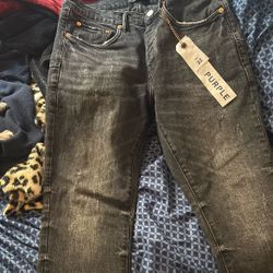 Purple  Brand Jeans  Black & Grey 