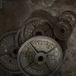 Standard Barbell Weights 