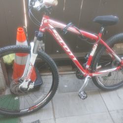 Mountain Bike 29"