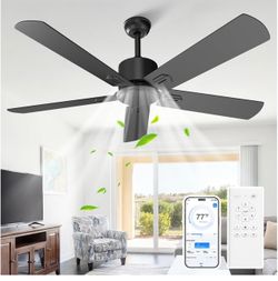 ceiling fan