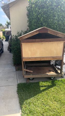 Chicken Coop 