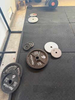 Gym Weights