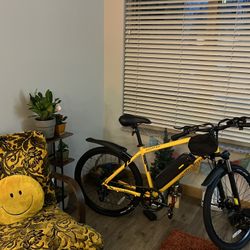 New E-bike!
