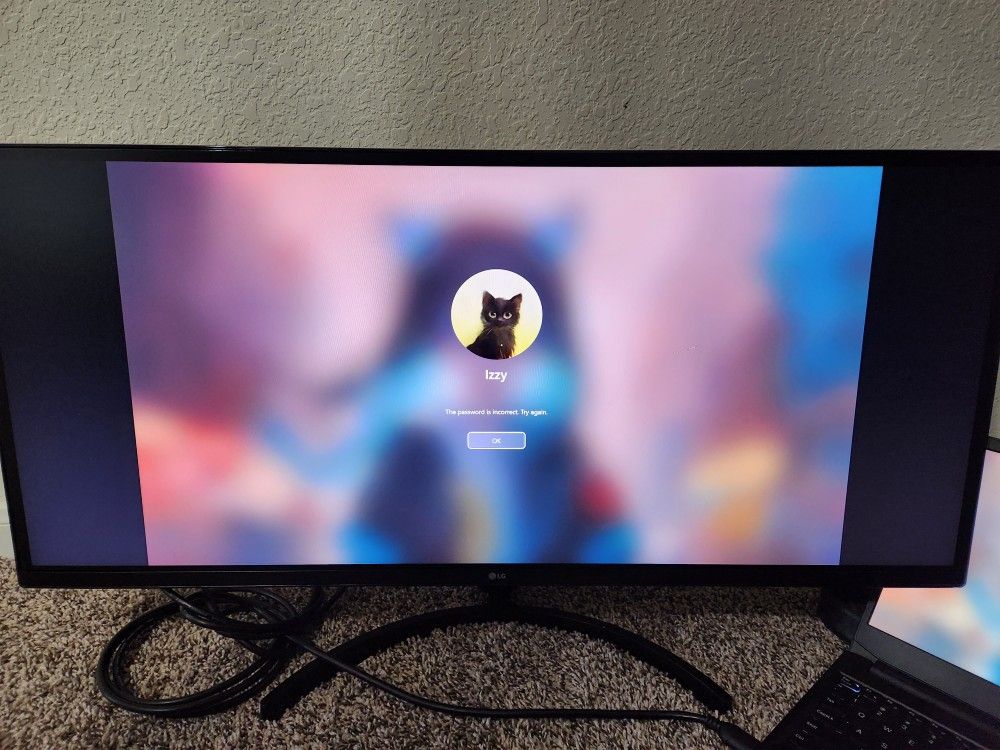 Ultrawide Monitor