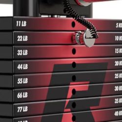 FITFIT Weight Plate Strength Training Multipurpose Heavy Duty Gym Fitness Workout Ruck Weight, 5kg  8 pieces of set RF-WSM1-TS02