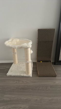 Free Cat scratcher and bed/sceatcher