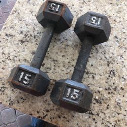 15lb Dumbbells 