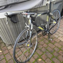 Giant TCR (medium frame size)