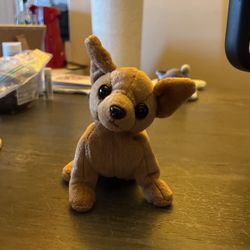 Beanie Baby Chihuahua “Tiny” RARE