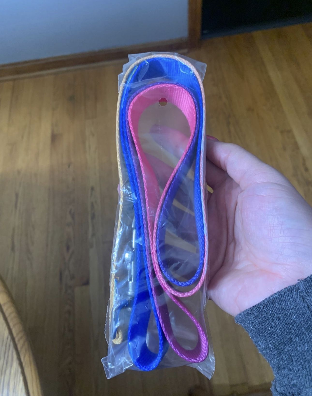 Dog Leash