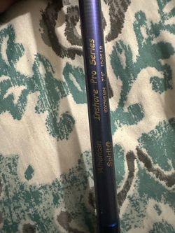 Fishing spinning rod