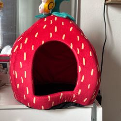 Little Strawberry Cat  Bed 
