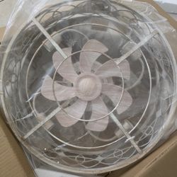20" Fan With Light 