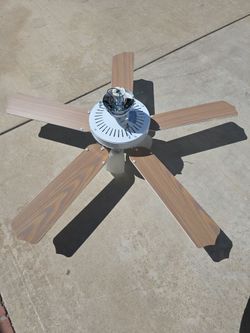 Ceiling fan