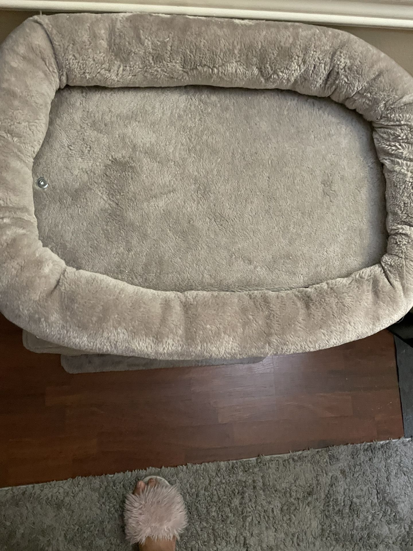 Cat Post / Bed 