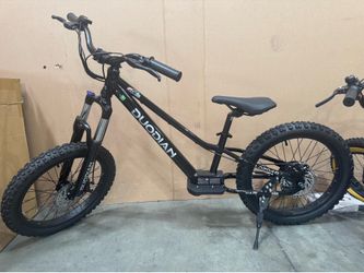 20-inch tire children‘s electric bicycle