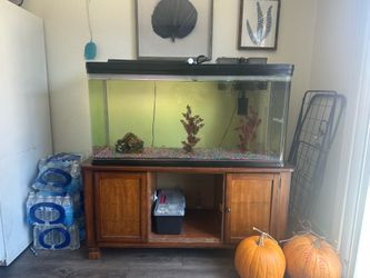 Fish tank