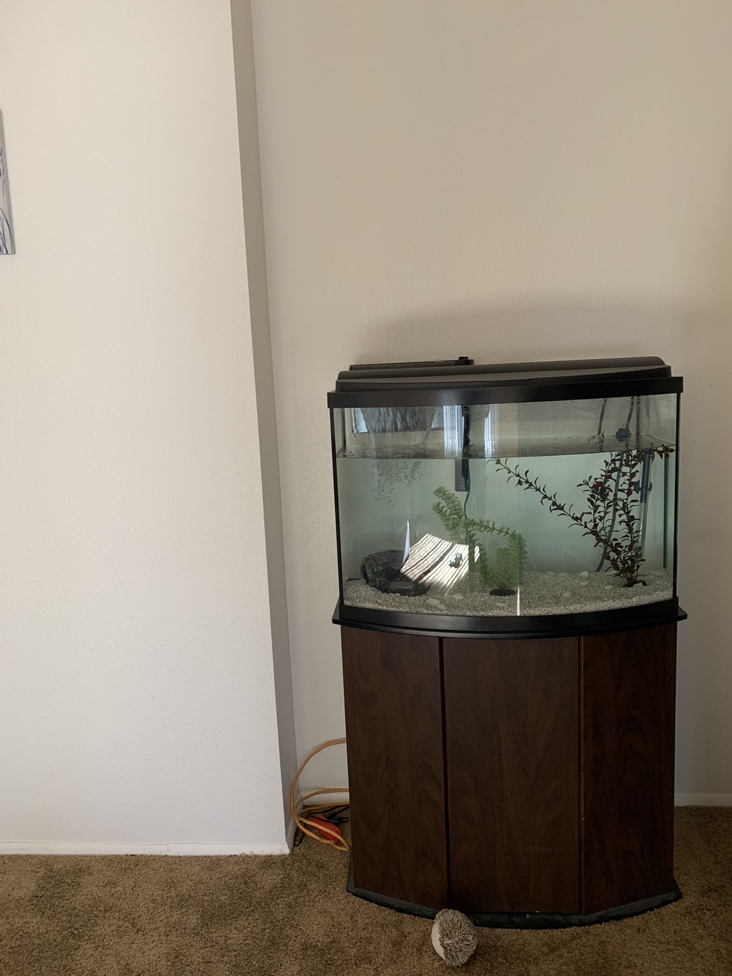 36 gal fish tank with filter and led lights