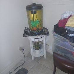 Fish  Tank 
