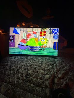 45”inch  SAMSUNG TV (OBO)