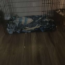 Extra Large Kennel