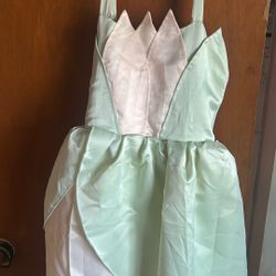 Brand New Tiana Costume.