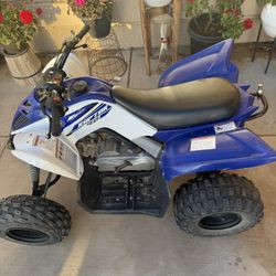 Raptor 90cc