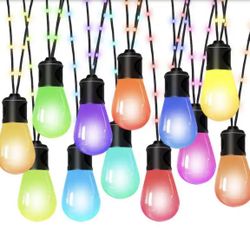 smart string lights 12-Light String Light 46 ft