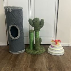 Kitty Accessories 