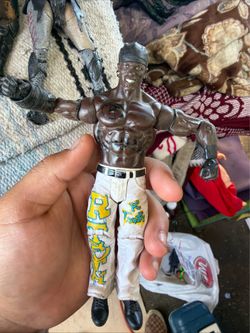 WWE action figure