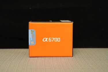 Sony a6700 Mirrorless Camera with 16-50mm f/3.5-5.6 II Lens