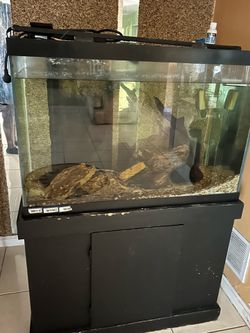Fish Tank 50 gallon
