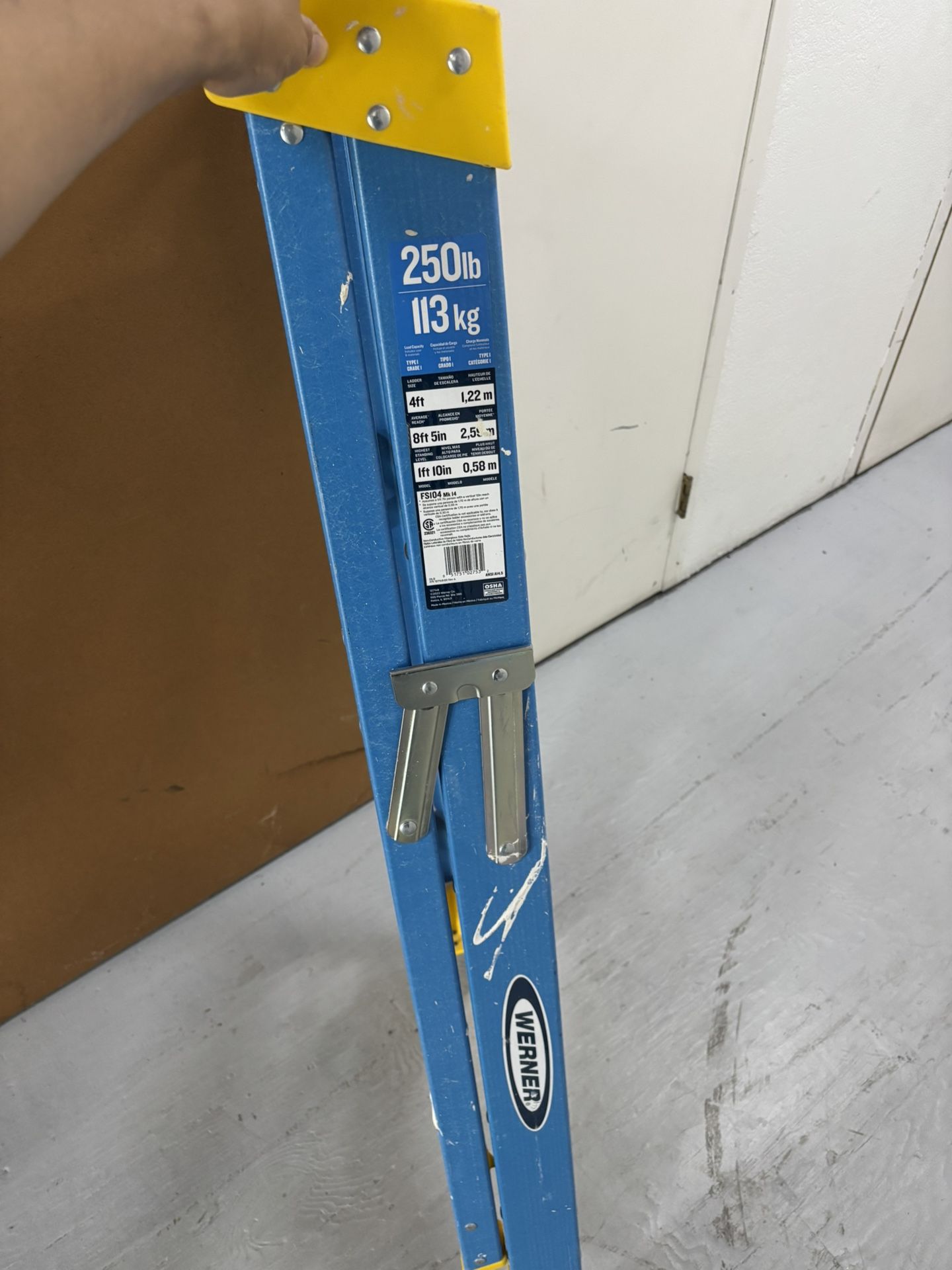 Werner Ladder 40 Bucks