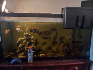 New And Used Fish Tanks For Sale In Portsmouth Va Offerup