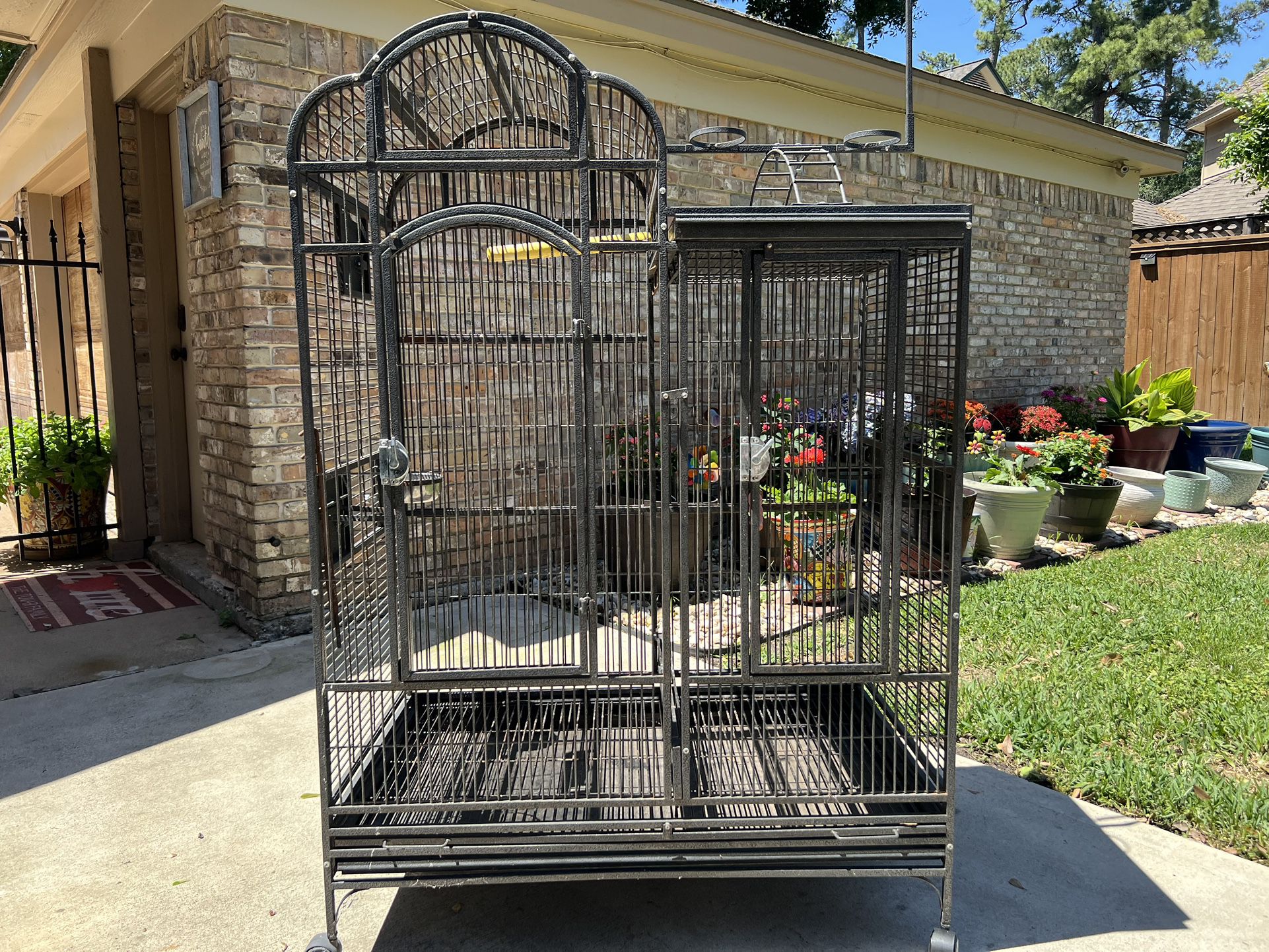 Parrot Cages 
