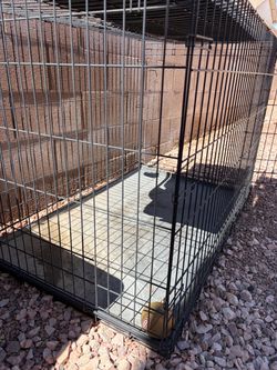 Dog Cage