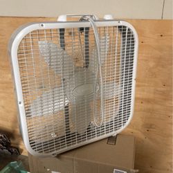Fan