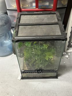 Reptile cage