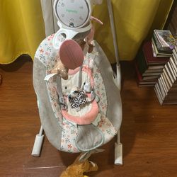 Ingenuity Baby Swing 